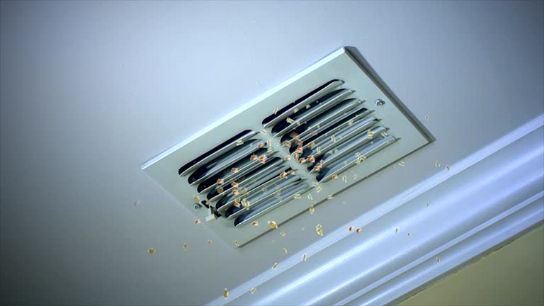 Best HVAC Duct Inspection Services  in Brisbane, CA