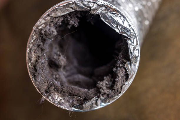 Best Ventilation Cleaning Services  in Brisbane, CA