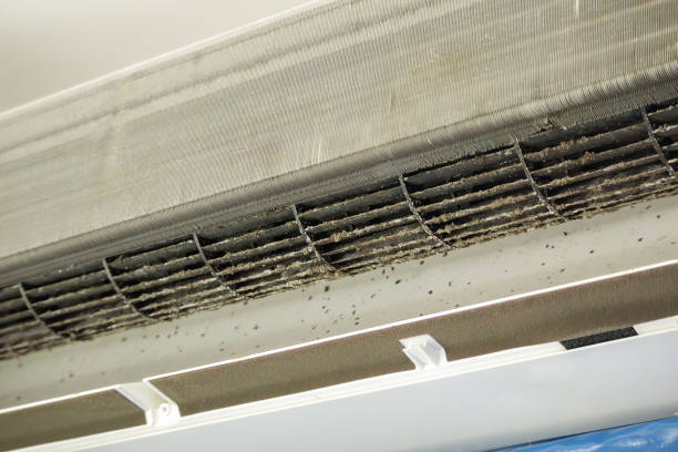Best Ductwork Cleaning Services  in Brisbane, CA